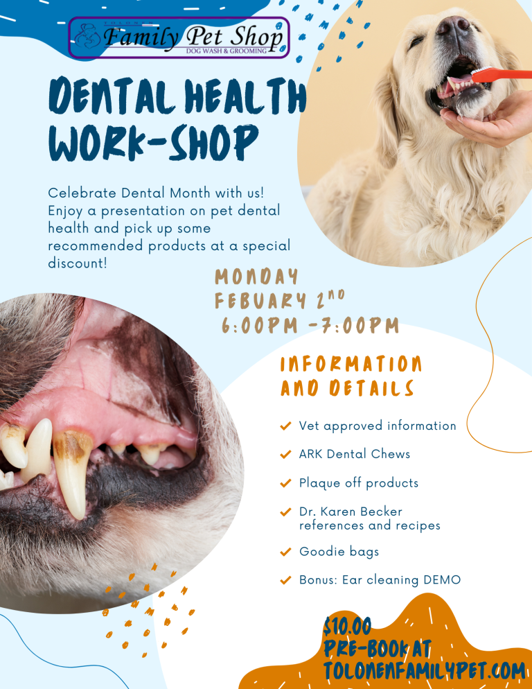 Canine Dental Health Workshop