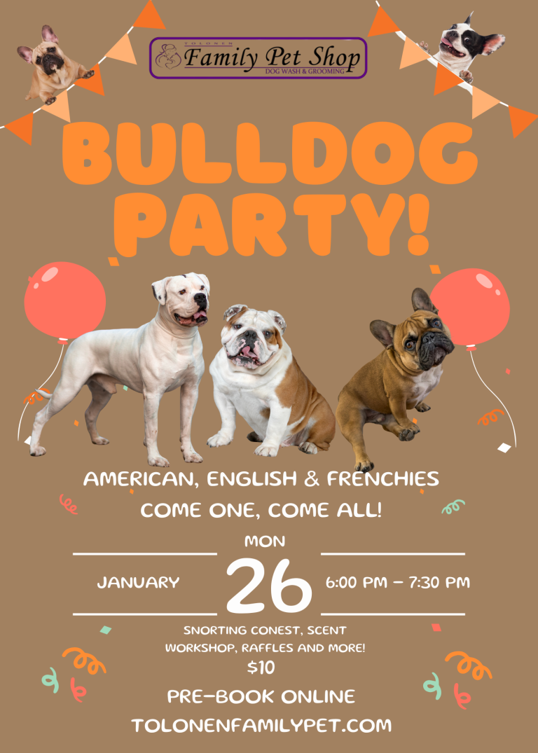 Bulldog Bash at Tolonen Family Pet Shop